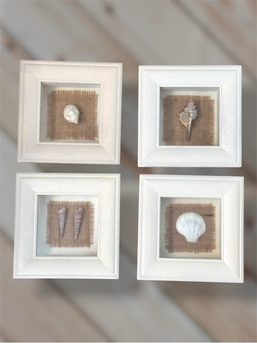 White Decorative Wood Framed Seashells Set - Home Accents